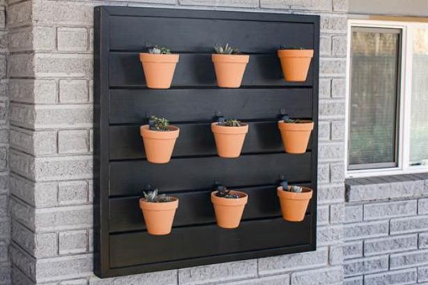 Outdoor Plant Wall