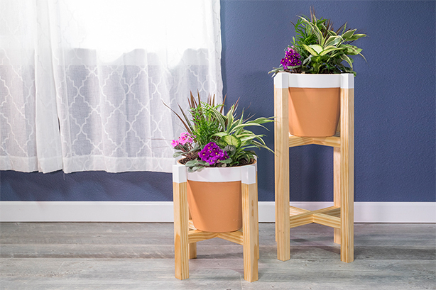 Plant Stands
